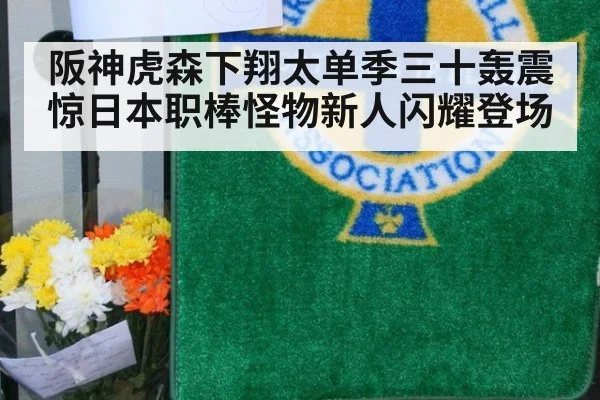 阪神虎森下翔太单季三十轰震惊日本职棒怪物新人闪耀登场